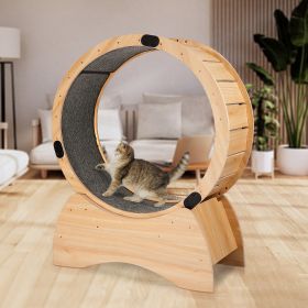 Cat Exercise Wheel -Running