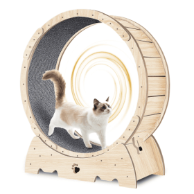 Cat Indoor Cat Exercise Wheel