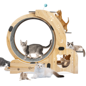 Cat Wheel 6-in-1 Cat Fitness Wheel