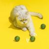 3PCS Cat Toy Balls