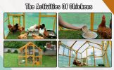 Wooden Chicken Coop 111''√ó74''√ó72'' Large Kitten Playpen, Chicken Run with Waterproof Cover and Two Small Doors